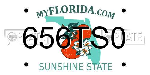 656TS0 Florida License Plate