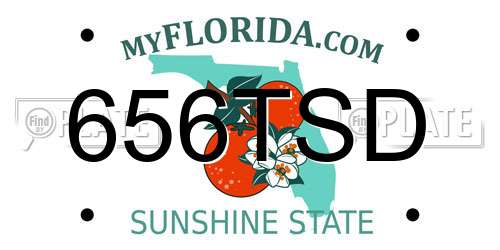 656TSD Florida License Plate