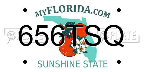 656TSQ Florida License Plate