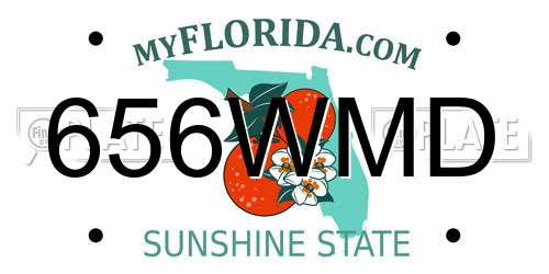 656WMD Florida License Plate