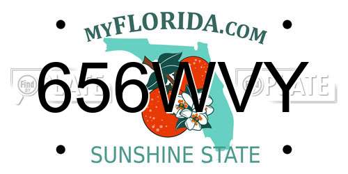 656WVY Florida License Plate