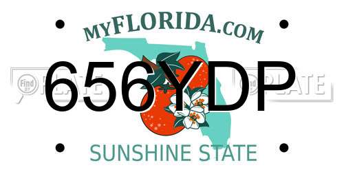 656YDP Florida License Plate