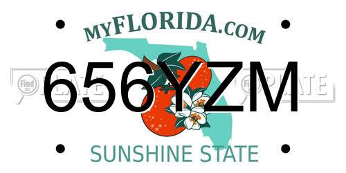 656YZM Florida License Plate