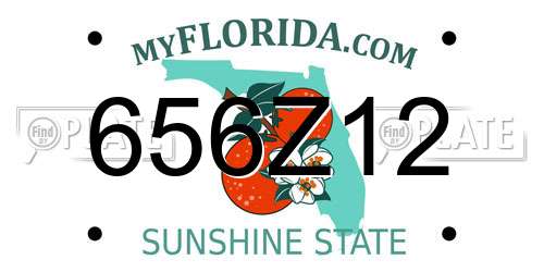 656Z12 Florida License Plate