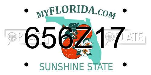 656Z17 Florida License Plate