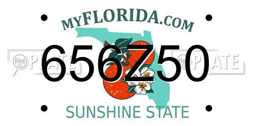 656Z50 Florida License Plate
