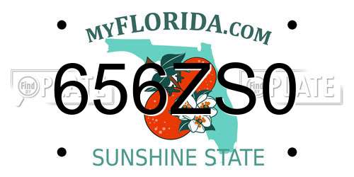 656ZS0 Florida License Plate