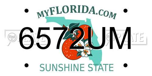 6572UM Florida License Plate