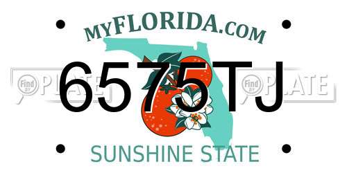 6575TJ Florida License Plate