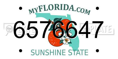 6576647 Florida License Plate