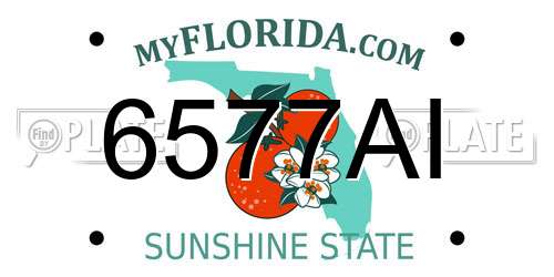 6577AI Florida License Plate