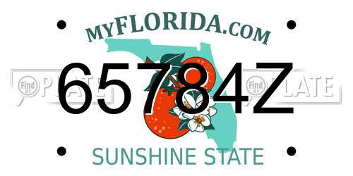 65784Z Florida License Plate