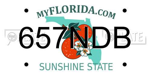 657NDB Florida License Plate