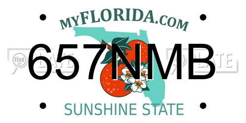 657NMB Florida License Plate