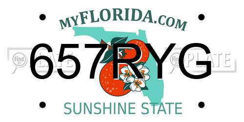 657RYG Florida License Plate