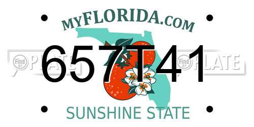 657T41 Florida License Plate