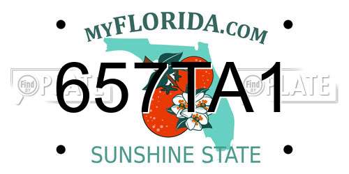 657TA1 Florida License Plate