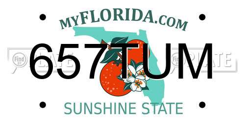 657TUM Florida License Plate