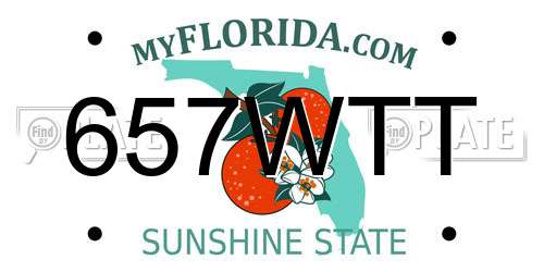 657WTT Florida License Plate
