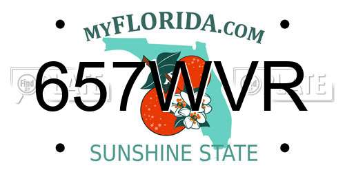 657WVR Florida License Plate