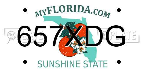 657XDG Florida License Plate