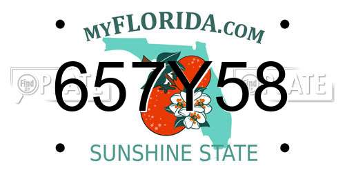 657Y58 Florida License Plate