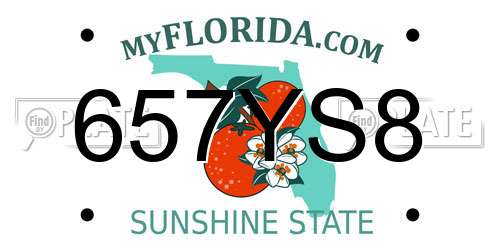 657YS8 Florida License Plate