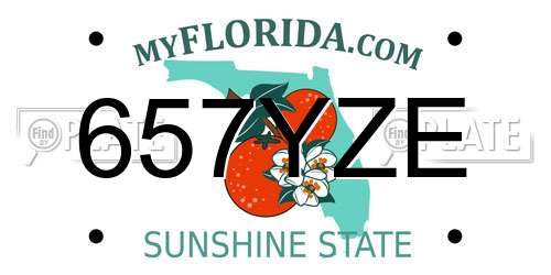 657YZE Florida License Plate