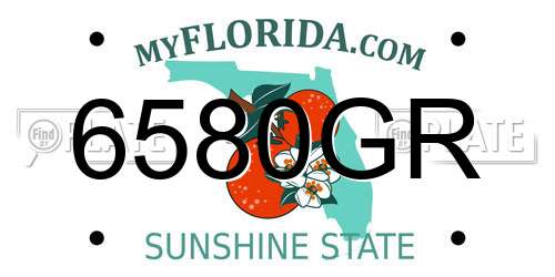 6580GR Florida License Plate