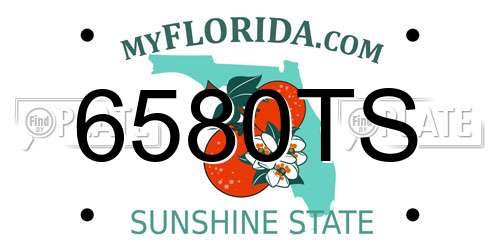 6580TS Florida License Plate