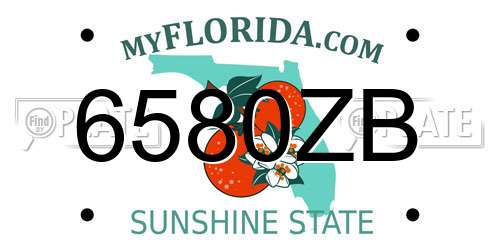 6580ZB Florida License Plate