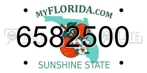 6582500 Florida License Plate