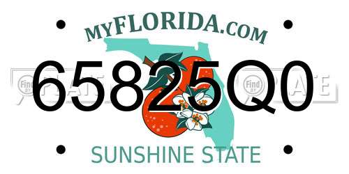 65825Q0 Florida License Plate
