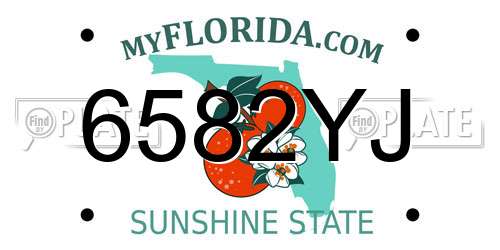 6582YJ Florida License Plate