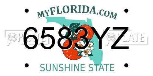 6583YZ Florida License Plate