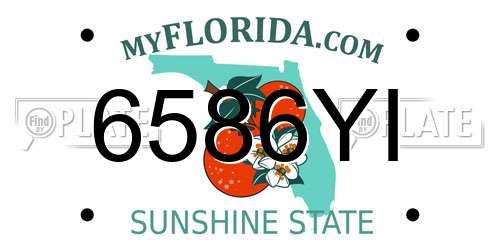 6586YI Florida License Plate