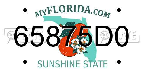 65875D0 Florida License Plate