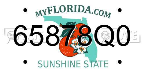 65878Q0 Florida License Plate