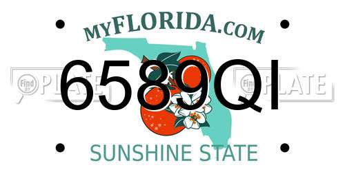 6589QI Florida License Plate