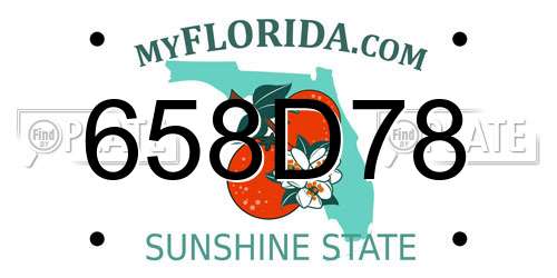 658D78 Florida License Plate