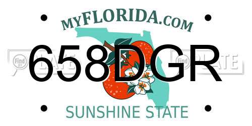 658DGR Florida License Plate