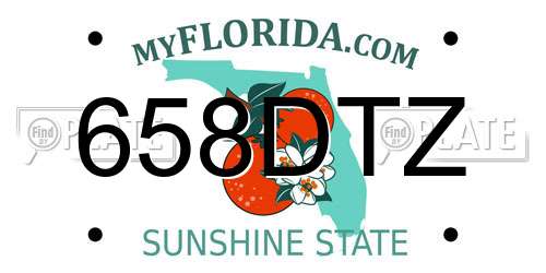 658DTZ Florida License Plate