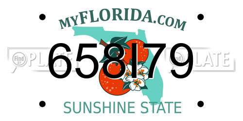 658I79 Florida License Plate