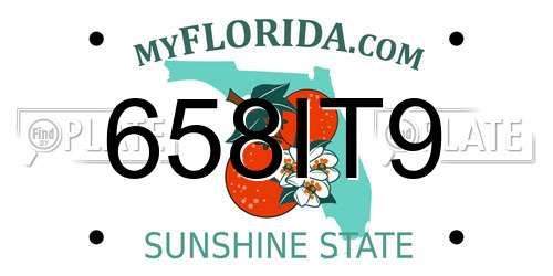 658IT9 Florida License Plate