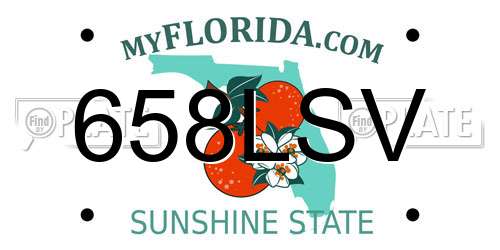 658LSV Florida License Plate