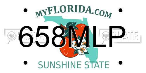 658MLP Florida License Plate