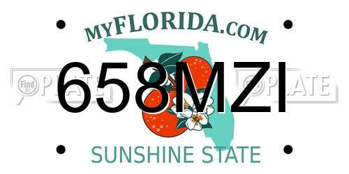 658MZI Florida License Plate