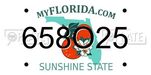 658O25 Florida License Plate