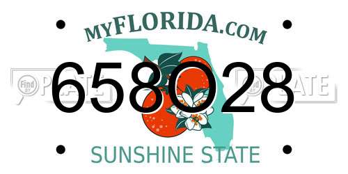 658O28 Florida License Plate
