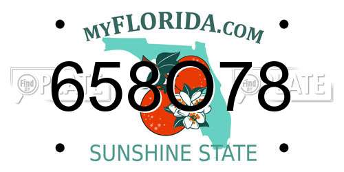 658O78 Florida License Plate